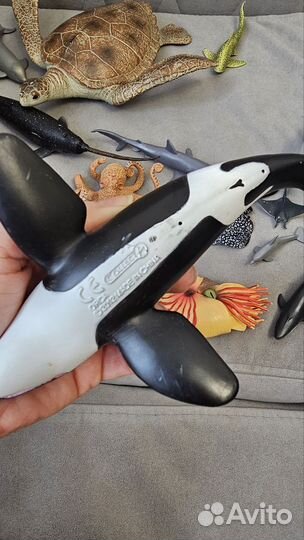 Коллекция морских обитателей