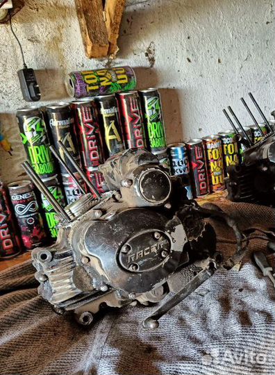 Пантера Рейсер