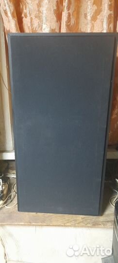 Акустические колонки радиотехника 35ас