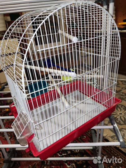 Клетка для волнистого попугая