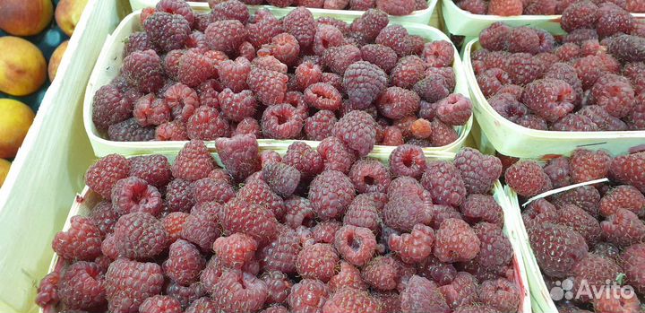 Малина вкусная сладкая с бесплатной доставкой