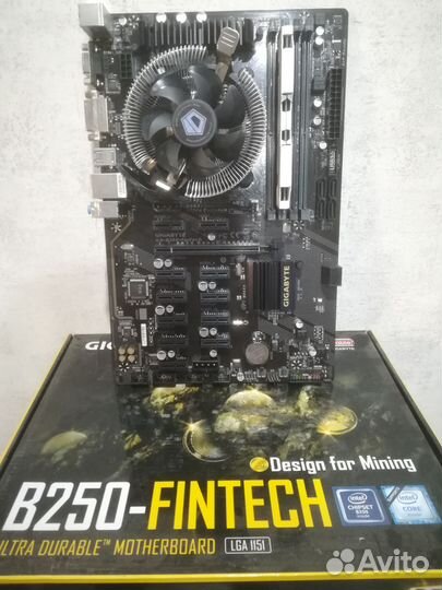 Gigabyte b250 - fintech / g3900 /8gb