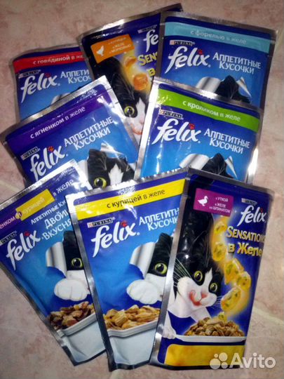 Корм для животных