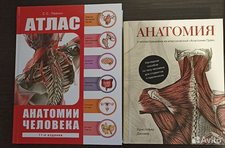 Атлас анатомии