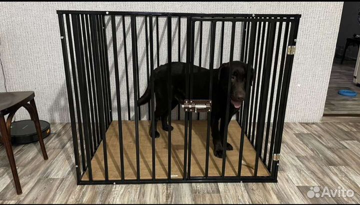 Антивандальные клетки и вольеры для собак