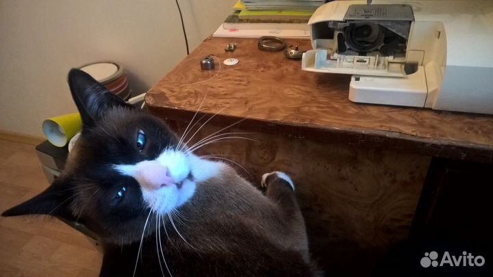 Ремонт швейных машин