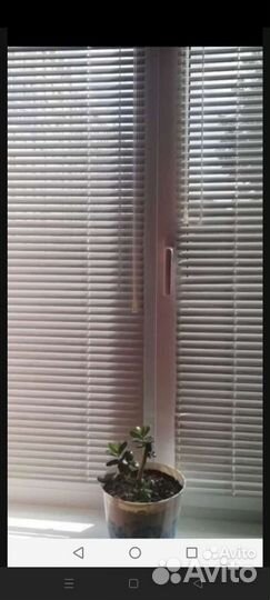 Жалюзи вертикальные