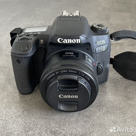 Canon eos 77d 50mm f 1.8