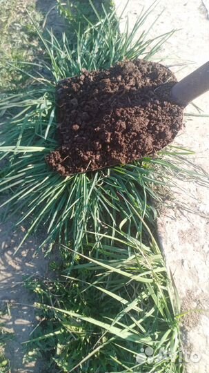 Торф в мешках