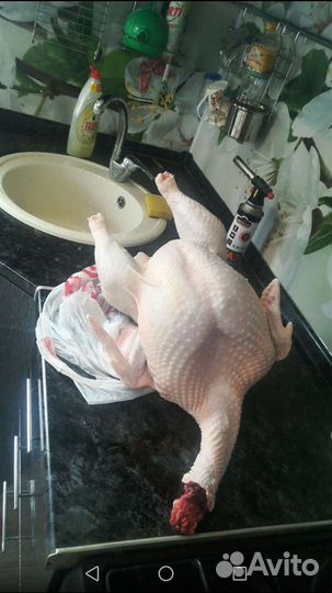 Мясо,цыплят бройлеров и индейки домашнее