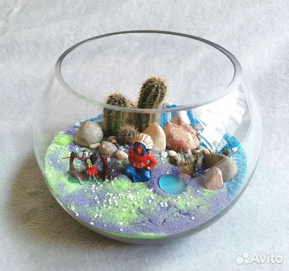 Кактусы отдельно или флорариум на заказ