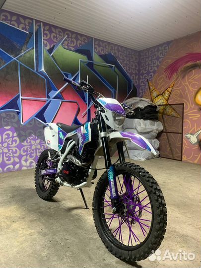 BSE Z1