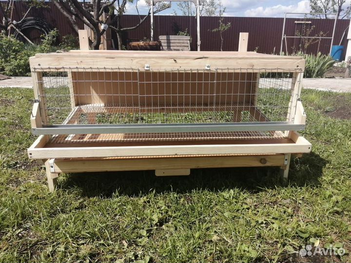 Клетка для перепелов