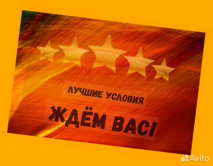 Наборщик заказов Без опыта Еженедельные выплаты