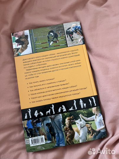 Дрессировка и воспитание собаки