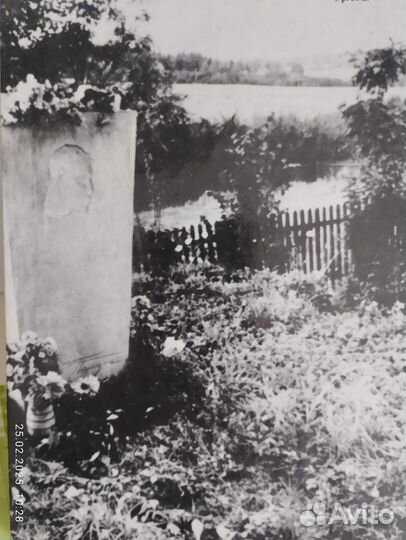 Мир Пастернака