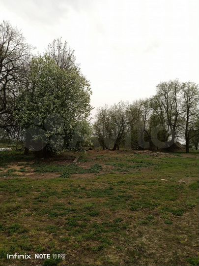 Участок 4,12 га (личное подсобное хозяйство (лпх))