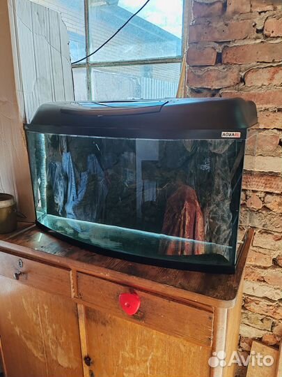 Аквариум