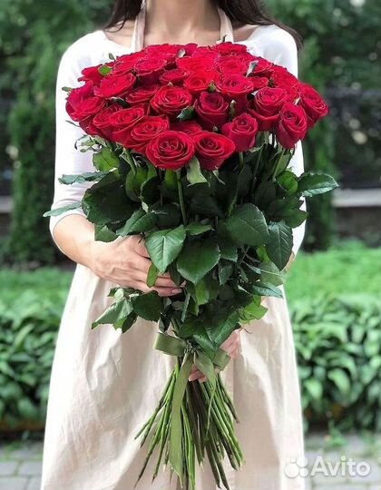 Длинные высокие розы 110 150 160 180 200 см