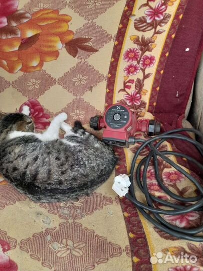 Водяной насос