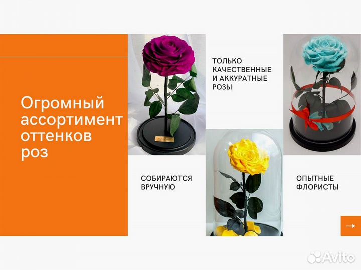 Живая роза в колбе