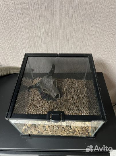 Новый террариум Repti-Zoo 30*30*20 см