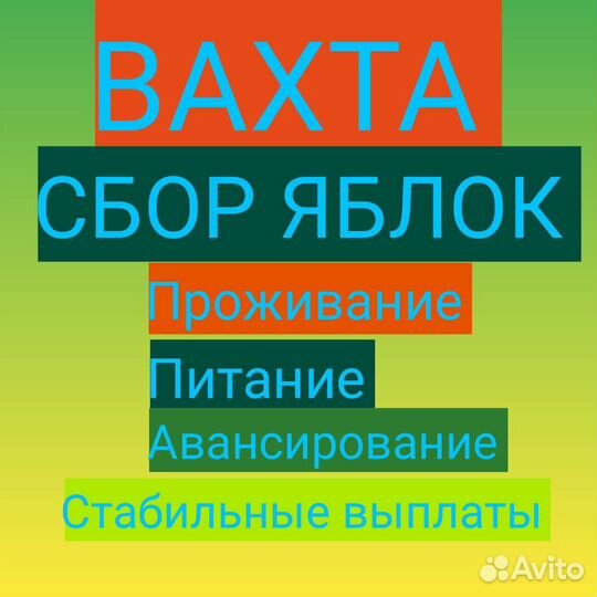 Разнорабочий вахта сбор яблок