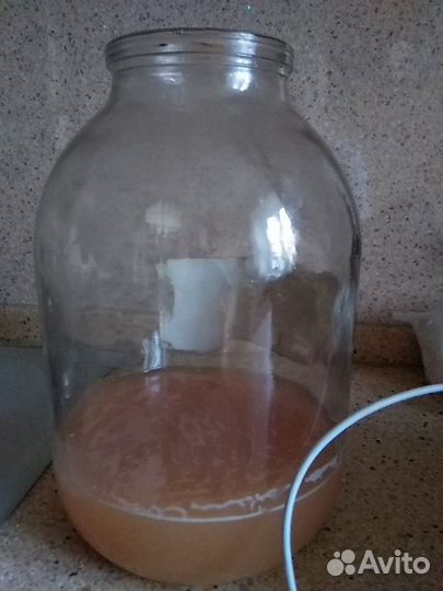 Банка