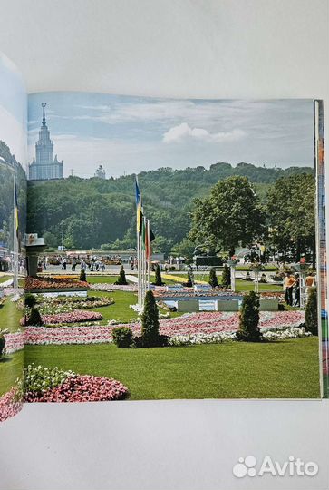 Городское озеленение и ландшафтный дизайн