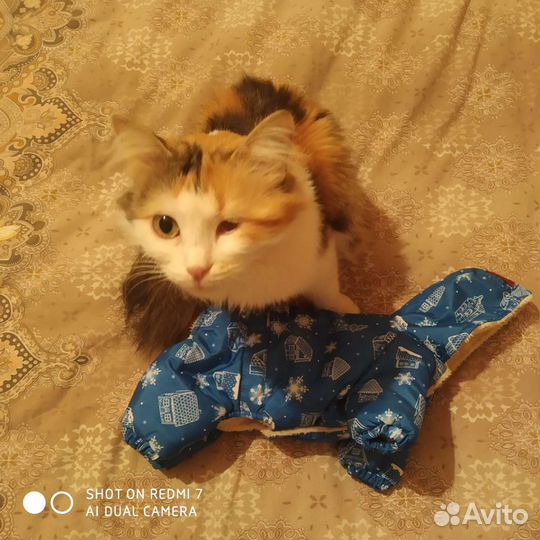 Зимняя куртка для собак