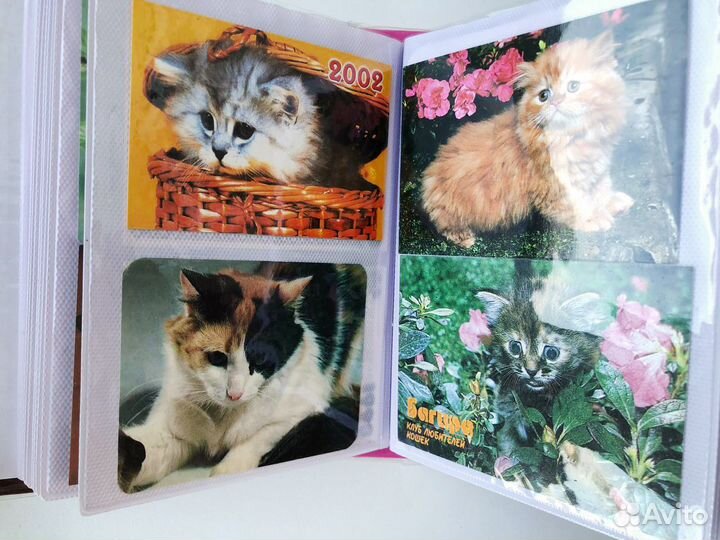 Коллекция карманных календариков с кошками, 170 шт