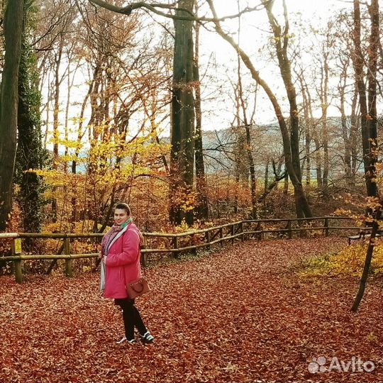 Репетитор по-немецкому языку