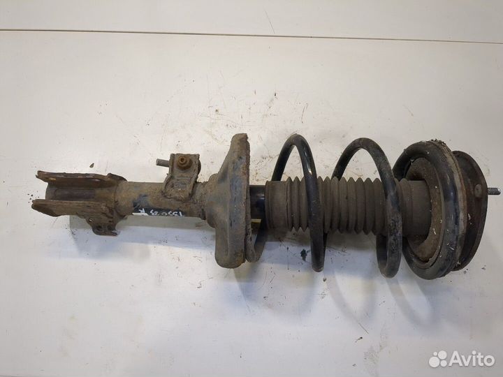 Амортизатор подвески Suzuki Liana, 2005