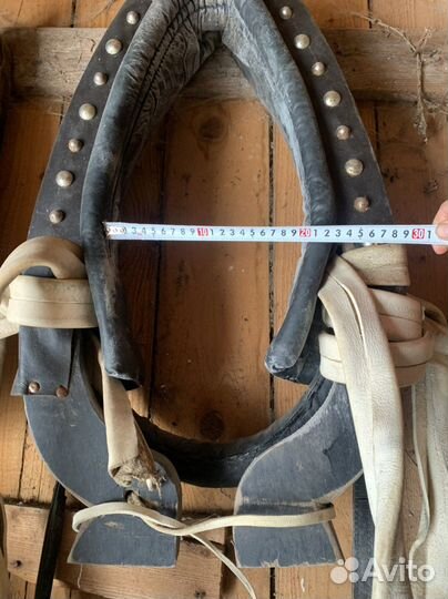 Хомут 2,5 со шлеёй