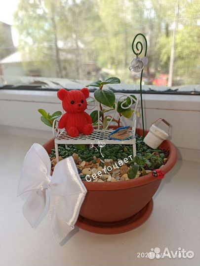 Флорариум, цветочные композиции, подарки