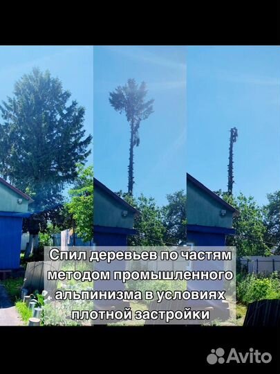 Спил деревьев расчистка участков