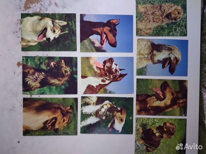 Набор открыток