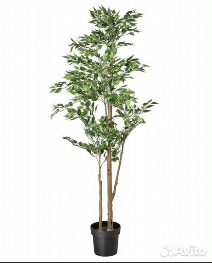 Искуственное дерево Икея