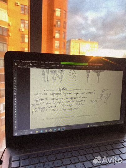 Репетитор по биологии / огэ / егэ