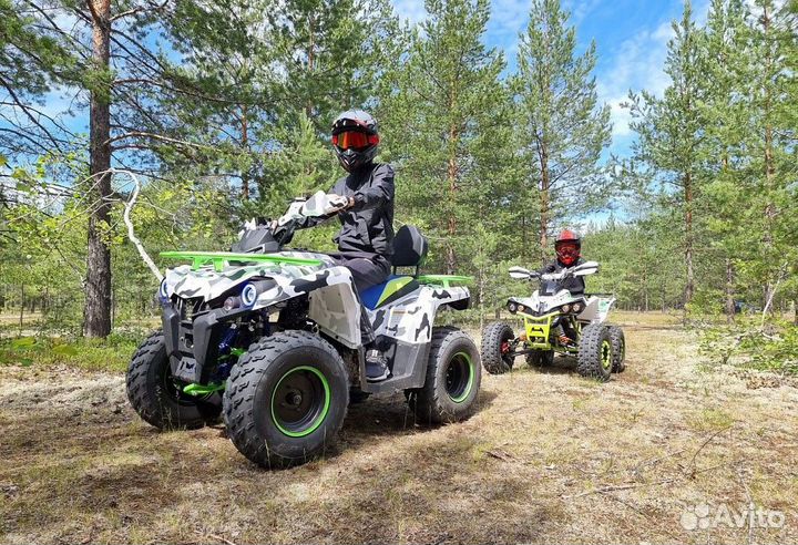Квадроцикл promax forest hunter 300