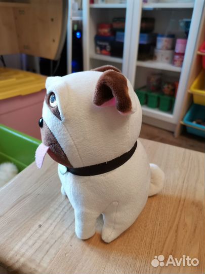 Мэл из м/ф Тайная жизнь дом. животных