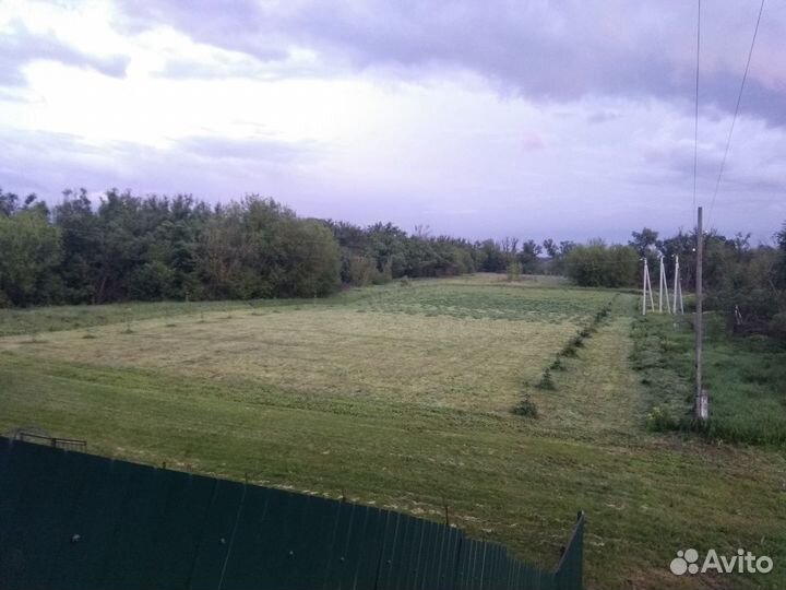 Покос травы, бурьяна