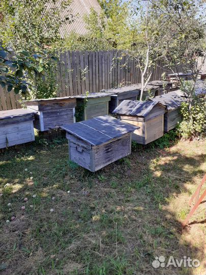 Ульи для пчел