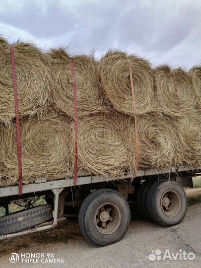 Продаю сено
