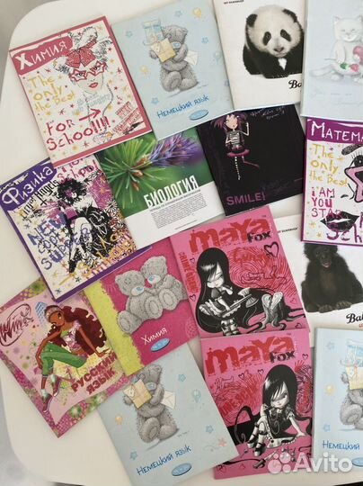 Тетради 48 листов (клетка, линейка)