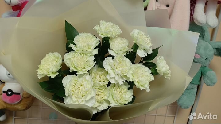 Диантусы букеты