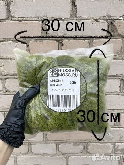Стабилизированный мох, 1 кг, цвет Оливковый