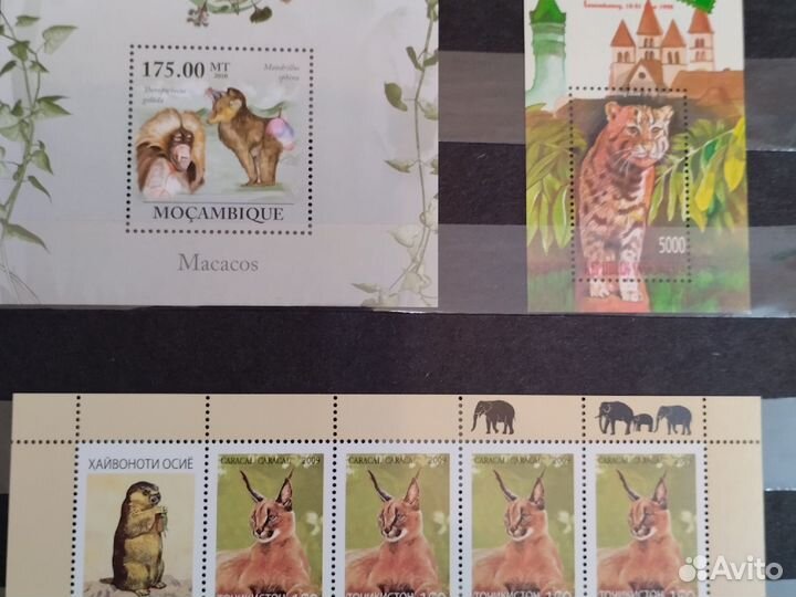 Альбом с блоками