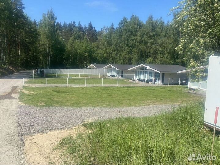 Качественный газон спорт