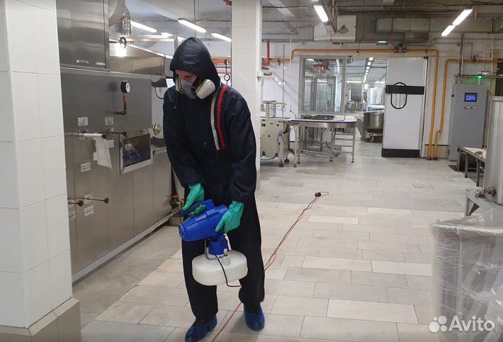 Уничтожение тараканов, клопов тараканов плесени